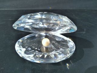 Swarovski Crystal Large 2 1/2 " Oyster Clam Shell With Pearl 014389