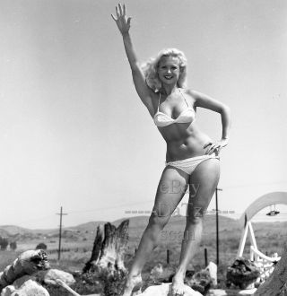 1950s Negative - Sexy Pinup Girl Janice Lee In Bikini - Cheesecake T279711