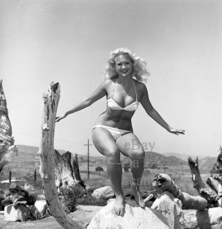1950s Negative - Sexy Pinup Girl Janice Lee In Bikini - Cheesecake T279713