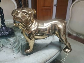 Solid Brass Bulldog Figurines Statue House/office Decor Animals Figure 7 "