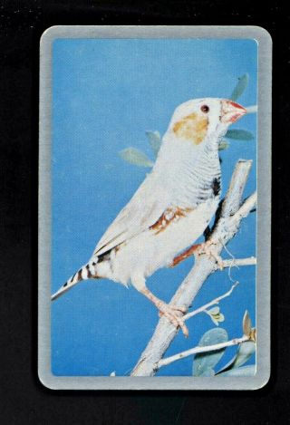 1 Listed Swap Playing Cards Newsagent Blank Back A Bird Perched On Tree Branch