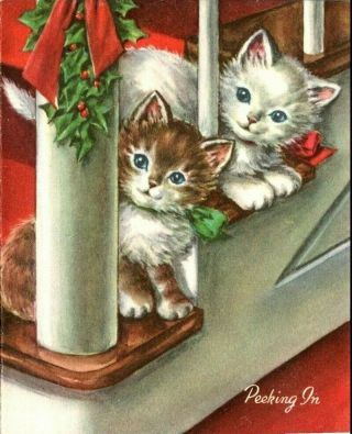 Peekaboo Kitty Cat Kittens Wait For Santa Claus Nos Vtg Christmas Greeting Card