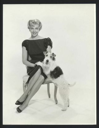 1958 Anne Neyland Leggy W/ Wire Fox Terrier Vintage Photo Model Actress