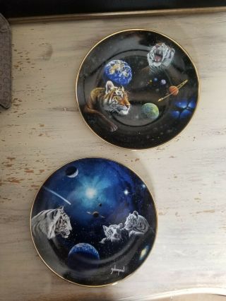 Set Of 2 Tiger Space Decor Plates