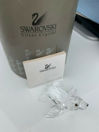 Swarovski Crystal Figurine Baby Sea Lion With Certificate