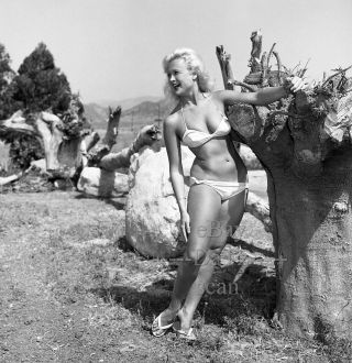 1950s Negative - Sexy Pinup Girl Janice Lee In Bikini - Cheesecake T279717