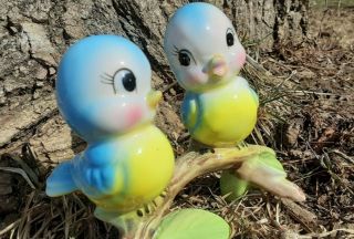 Vintage Norcrest Two Bluebirds Sitting On Branch Figurine Japan Spring Plz Read