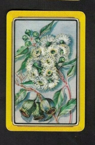 1 Coles Swap Playing Card 1950 