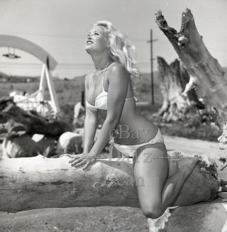 1950s Negative - Sexy Pinup Girl Janice Lee In Bikini - Cheesecake T281509