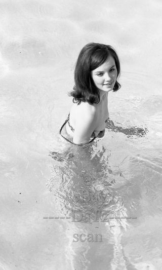 60s Negative,  Sexy Brunette Pinup Girl Gaydene Kalva In Pool,  Cheesecake T434865