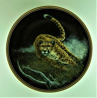Cheetah Plate Nature 