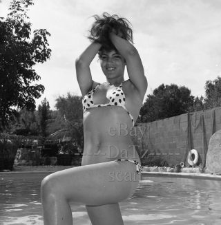 1960s Negative - Sexy Pinup Girl Lenore Stewart In Bikini - Cheesecake T281745
