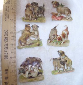 Antique Raphael Tuck Die Cut Scrap Victorian Group Of 12 Playful Pups