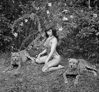 8x10 Print Sexy Model Pin Up Bettie Page Nudes 1950 