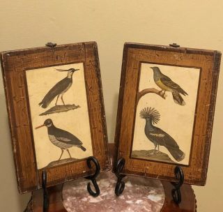 Wall Prints On Wood Made In Italy Framed 2 Decorative Craft Florentia Birds Art