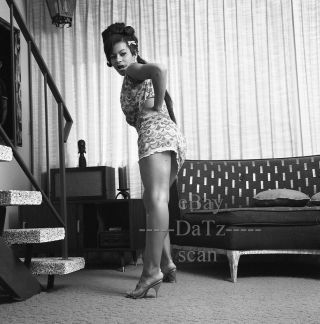 1960s Negative - Sexy Black Pinup Girl Sherly Trenton - Cheesecake T280618