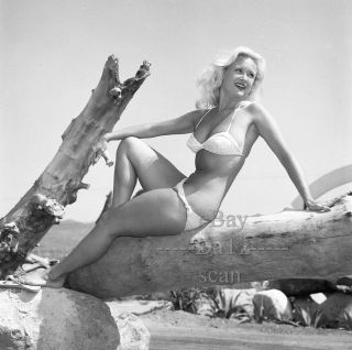 1950s Negative - Sexy Pinup Girl Janice Lee In Bikini - Cheesecake T280582