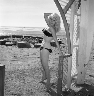 1950s Negative,  Sexy Blonde Pin - Up Girl Darby Flynn In Bikini At Beach T266260