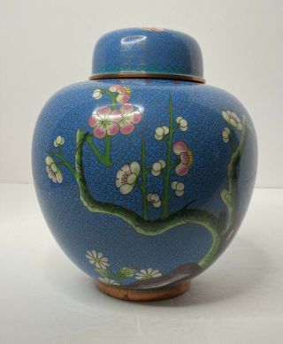 Vintage Chinese Cloisonne Ginger Jar With Lid Blue W/ Blossoms 8” Tall