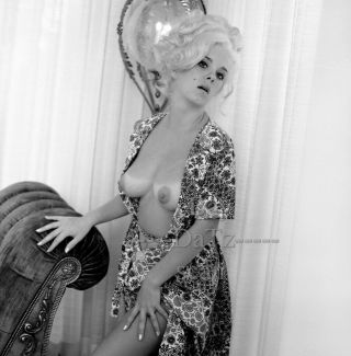 1960s Negative - Sexy Blonde Pinup Girl Kitty Mason - Cheesecake T52111