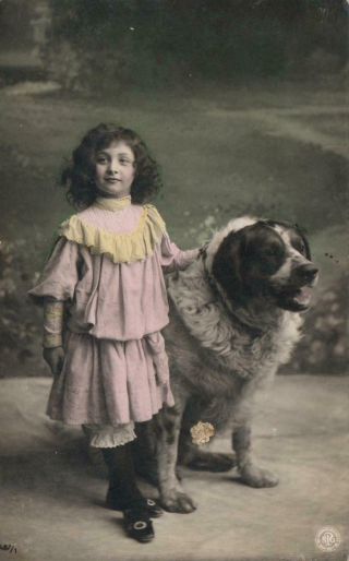 1908 Vintage Hand Coloured Real Photo Young Girl & Giant St Bernard Dog Postcard