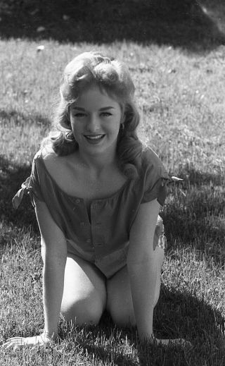 1950s Ron Vogel Negative,  Gorgeous Pin - Up Girl Lisa Drake,  Cheesecake,  T228620