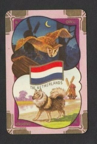 1 Coles Swap Playing Card 1956 Olympic Bird Animal Netherlands Owl Keeshond Dog