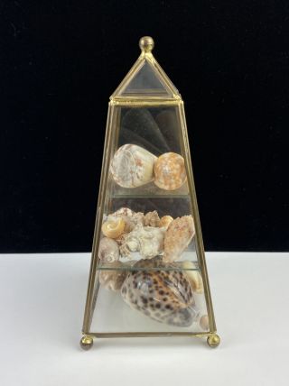 Vintage Miniature Brass Glass Pyramid Curio Trinket Display Case Shelf W/ Shells