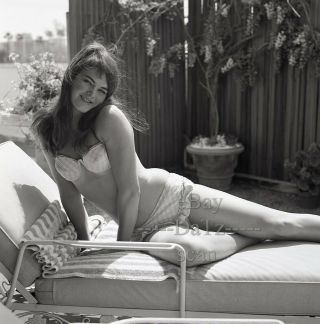 1960s Negative - Sexy Pinup Girl Althea Daglish In Bikini - Cheesecake T278341