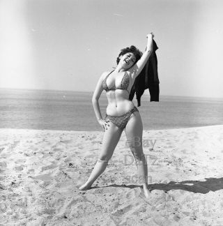 1950s Negative - Busty Pinup Girl Gigi Frost At Beach In Bikini - Cheesecake T270830