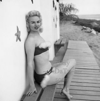 1950s Negative,  Sexy Pin - Up Girl Joanne Oxford In Bikini,  Cheesecake T266668