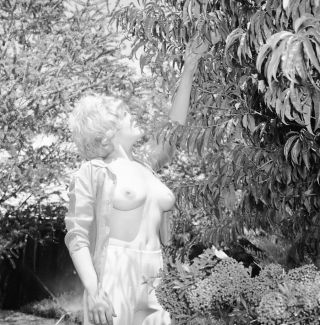 1960s Vogel Negative,  Voluptuous Nude Blonde Pin - Up Girl Sue Dover,  T30824