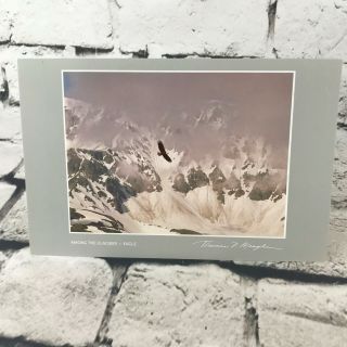 Thomas D.  Mangelsen Images Of Nature Among The Glaciers - Eagle Card Envelope