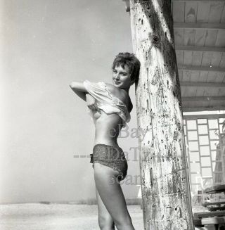 1950s Negative - Sexy Pinup Girl Dixie Hardaker At Beach - Cheesecake T282108