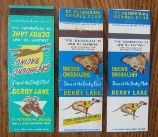 Greyhound Racing (dog Racing) : Derby Lane (st.  Petersburg Fl) (3 Different) - E11