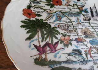 Vtg Florida 1950 ' s travel souvenir plate 7 