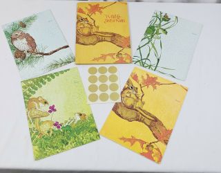 Vintage Current Wildlife Just A Notes Cards Postcards Owl Frog Mice Chipmunk