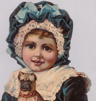 Very Large Victorian Die Cut Scrap Trade Card Little Girl & Pug Dog 9 X 6.  5 "