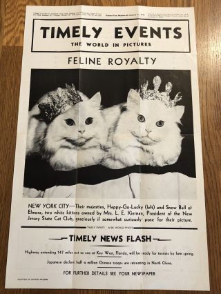 Vintage 1938 Timely Events Newspaper Poster Jersey State Cat Club Felines
