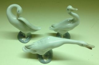Lladro 3 Geese Figurines,  Each In Different Pose - Wonderful