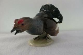 Wild Turkey Goebel Bird Figurine Cv 69 - Tmk4 -