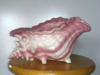Large Ceramic Conch Seashell Planter Sea Shell Ombre Pink Iridescent Atlantic Mo