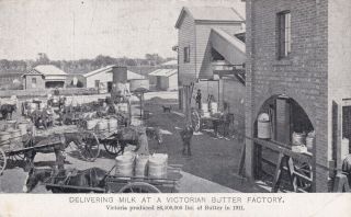 Vintage Postcard Victorian Government Garden Series Vic Butter Factory 1900s