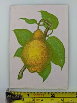 Antique Playing Card Old Single Square Corner Pear Tree Fruit Vtg Art Print Dsgn