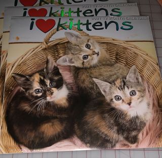 2021 I Love Kittens Cat Wall Calendar Plus Bonus Puppy Calendar -