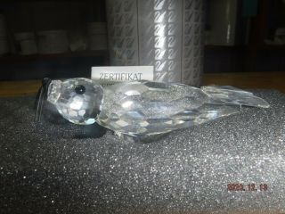Swarovski Silver Crystal " Large Seal " Black Whiskers Box/cert
