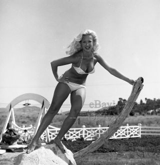 1950s Negative - Sexy Pinup Girl Janice Lee In Bikini - Cheesecake T279710