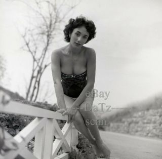 1950s Negative - Sexy Brunette Pinup Girl Jo Ann Mancin - Cheesecake T440132