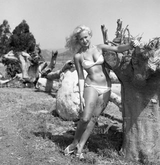 1950s Negative - Sexy Pinup Girl Janice Lee In Bikini - Cheesecake T279714
