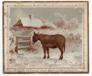 2 Victorian Xmas Card Donkey In Snowy Field Ex H & F Competition Scrapbook